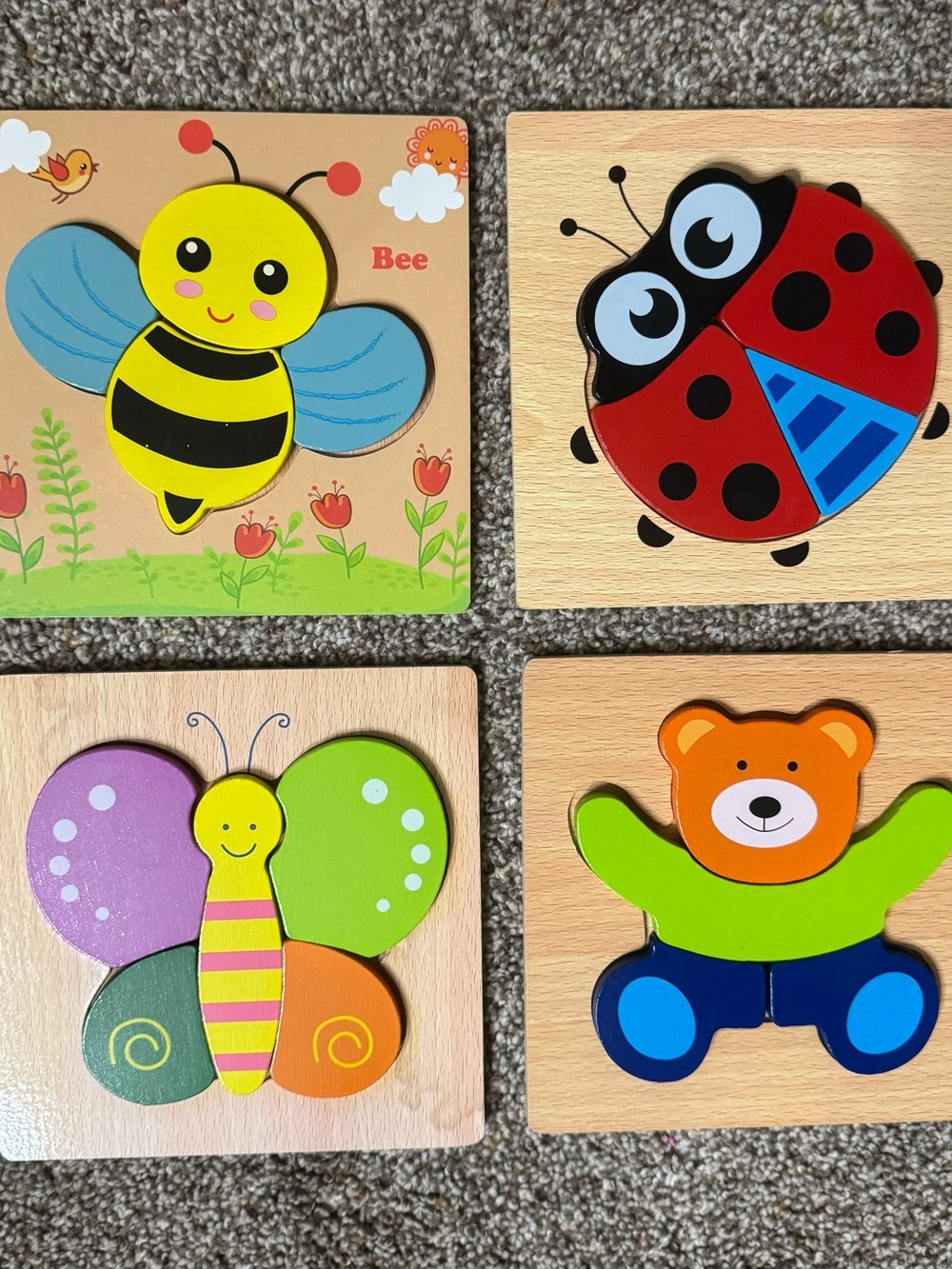 Colorful Wooden Puzzle Set for Toddlers - Multicolor